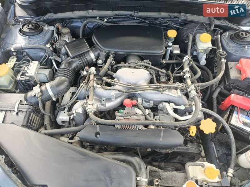 Позашляховик / Кросовер Subaru Forester 2008 в Луцьку