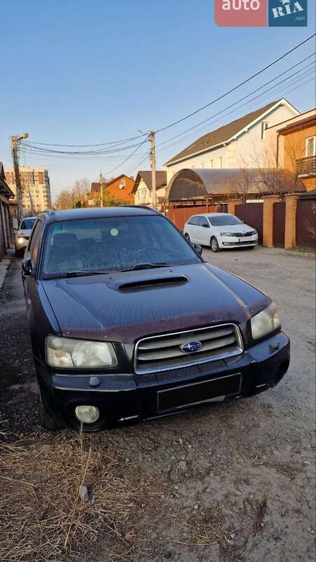 Внедорожник / Кроссовер Subaru Forester 2005 в Вишневом фото 12 Внедорожник / Кроссовер Subaru Forester 2005 в Вишневом