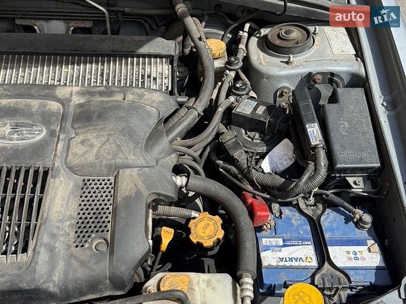 Внедорожник / Кроссовер Subaru Forester 2005 в Киеве