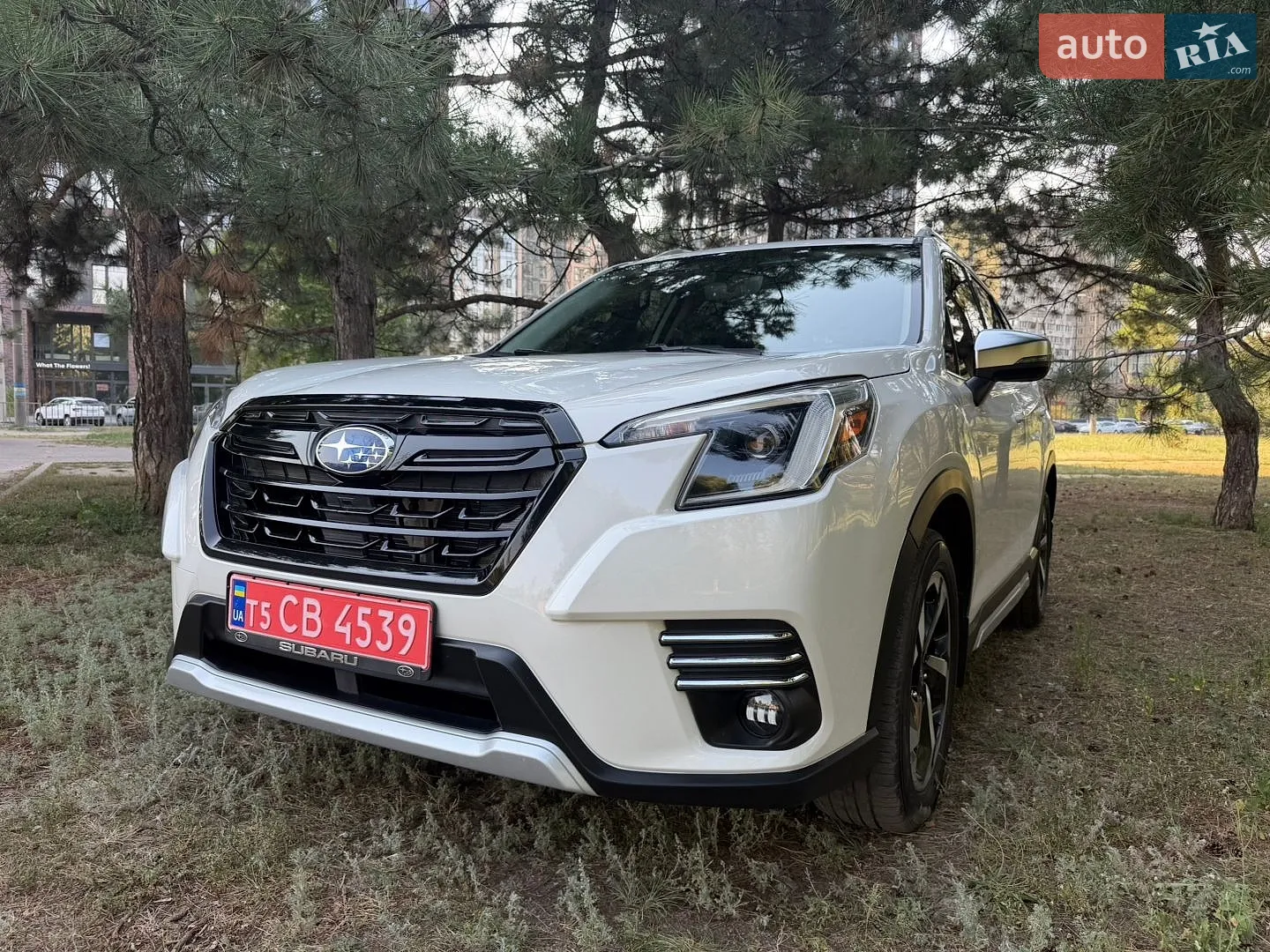 2023 Subaru Forester - фото 1