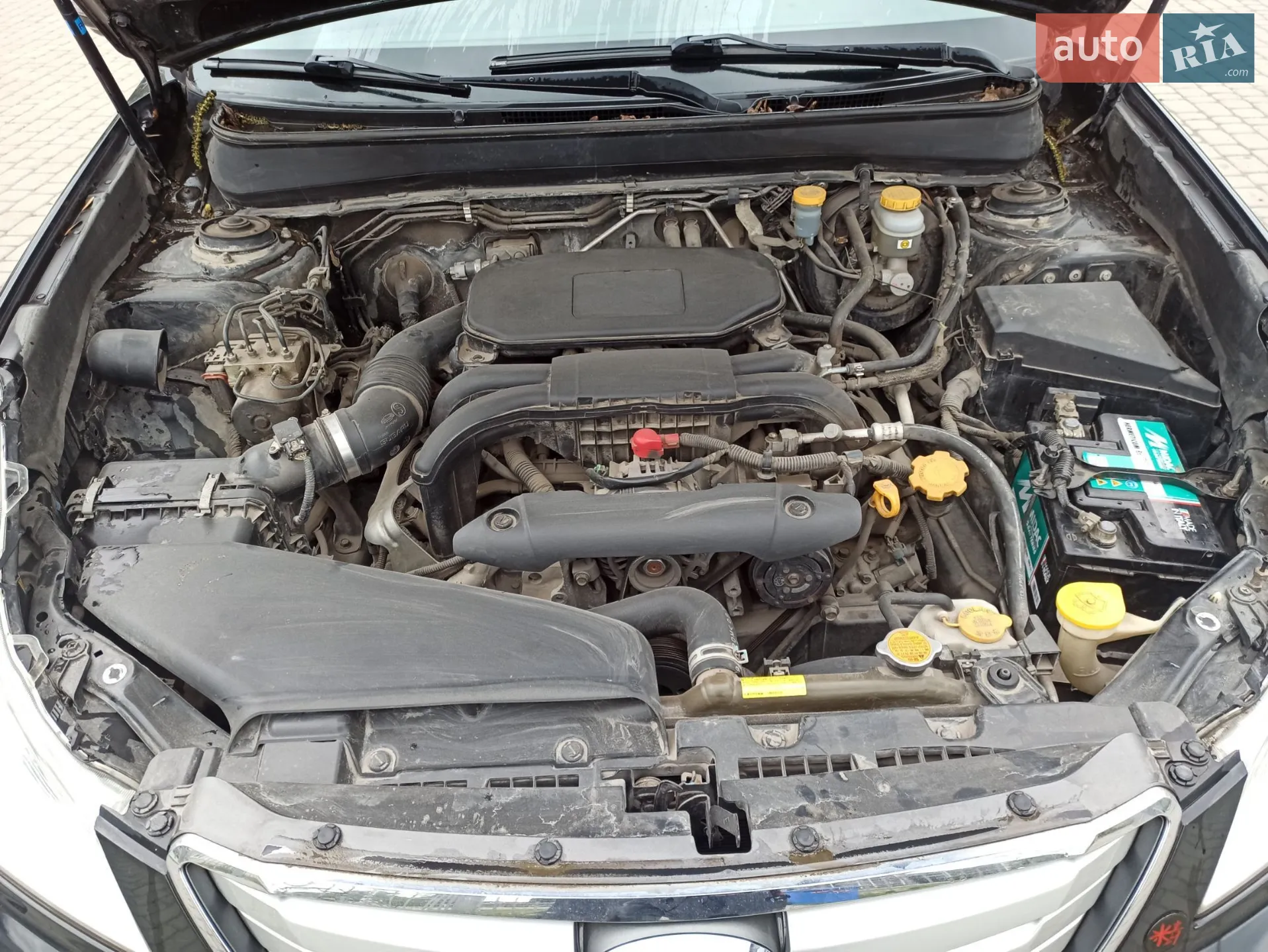 2010 Subaru Outback - мініатюра 12