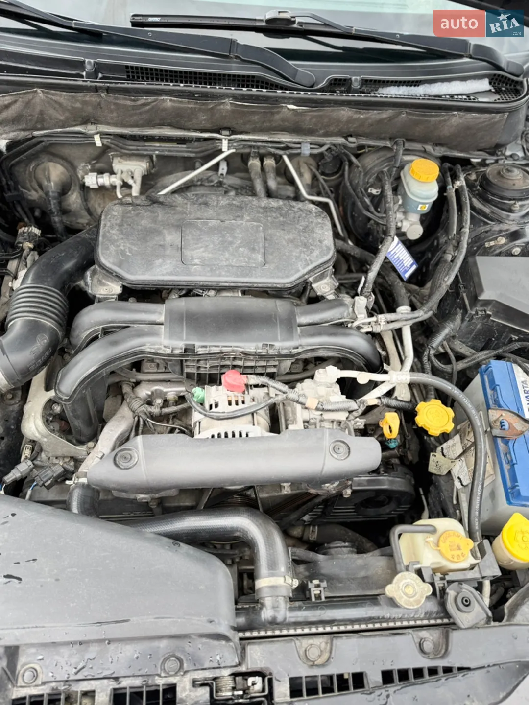 2010 Subaru Outback - мініатюра 16