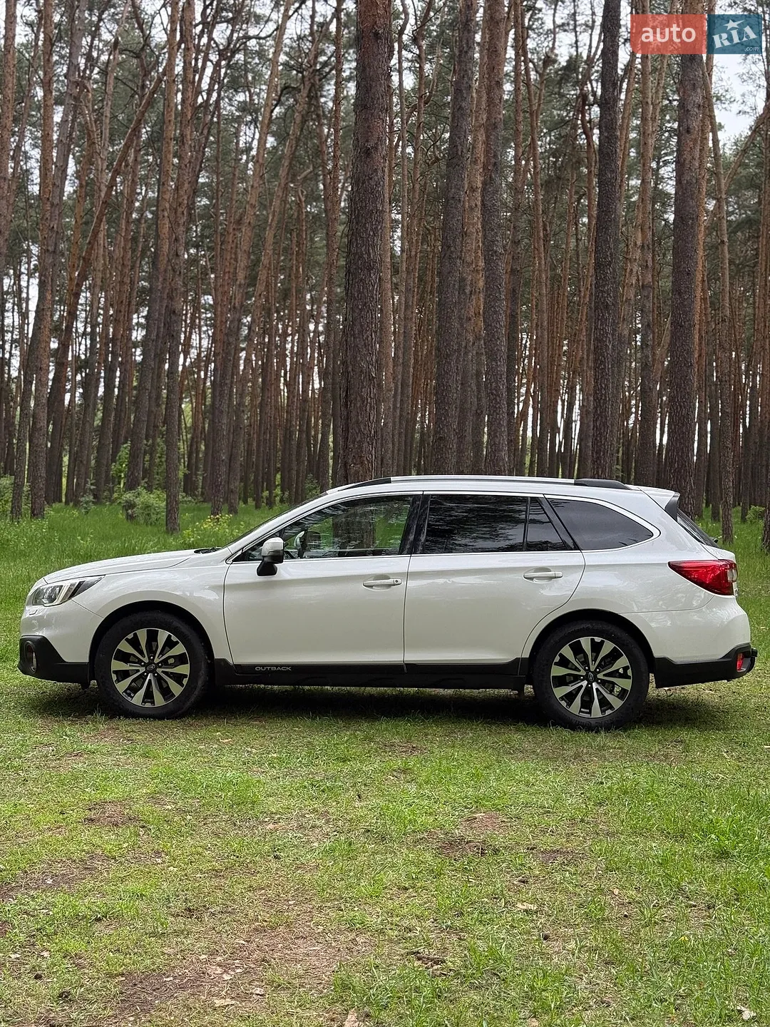 2016 Subaru Outback - мініатюра 5