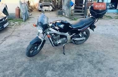 Мотоцикл Классик Suzuki GS 500E 1997 в 