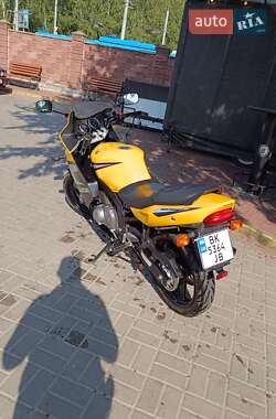 Мотоцикл Спорт-туризм Suzuki GS 500F 2006 в 