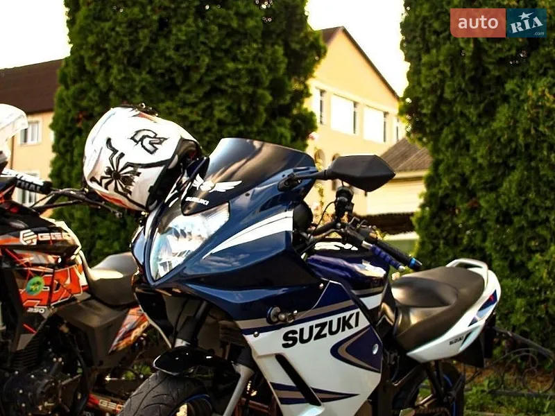 Suzuki GS 500F 2006