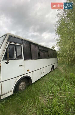 Міський автобус TATA A079 2008 в 