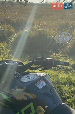 Мотоцикл Многоцелевой (All-round) Tekken 250 2024 в Полонном