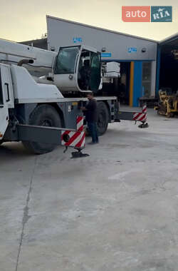 Автокран Terex AC 35L 2005 в 