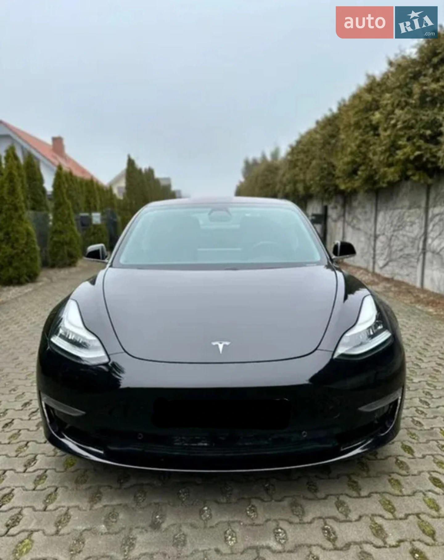 2019 Tesla Model 3 - фото 1