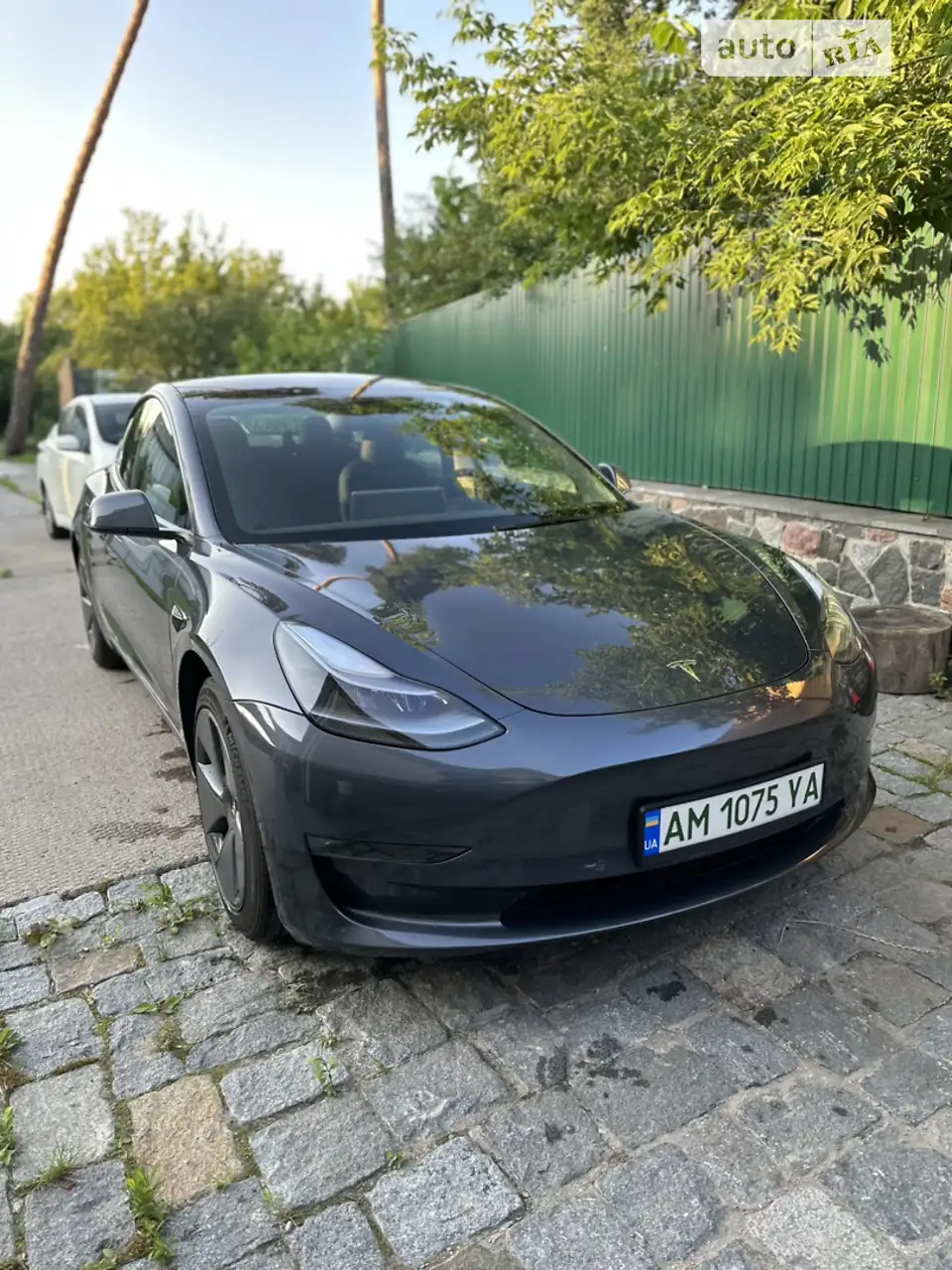 2021 Tesla Model 3 - мініатюра 20