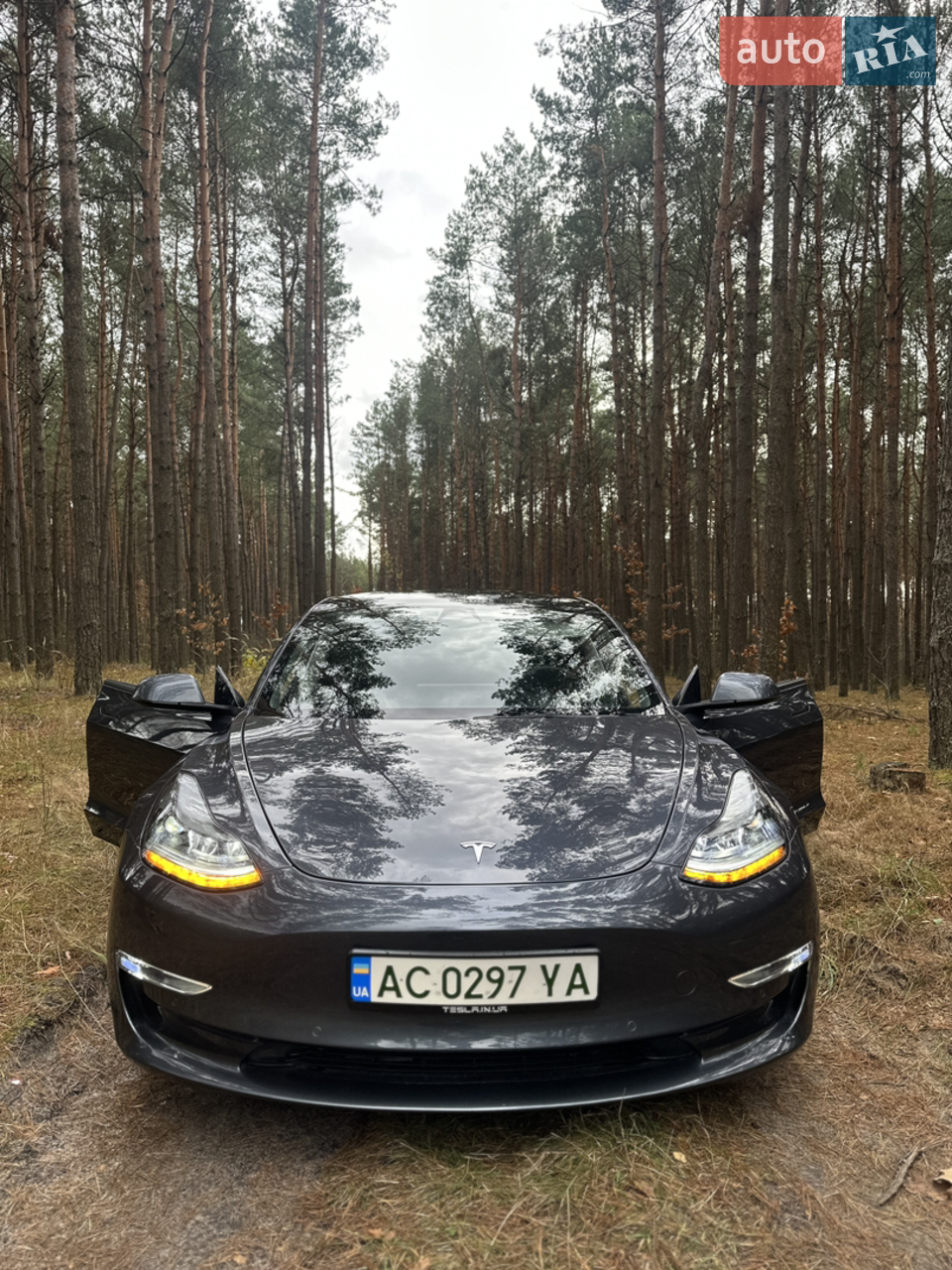 2023 Tesla Model 3 - мініатюра 24