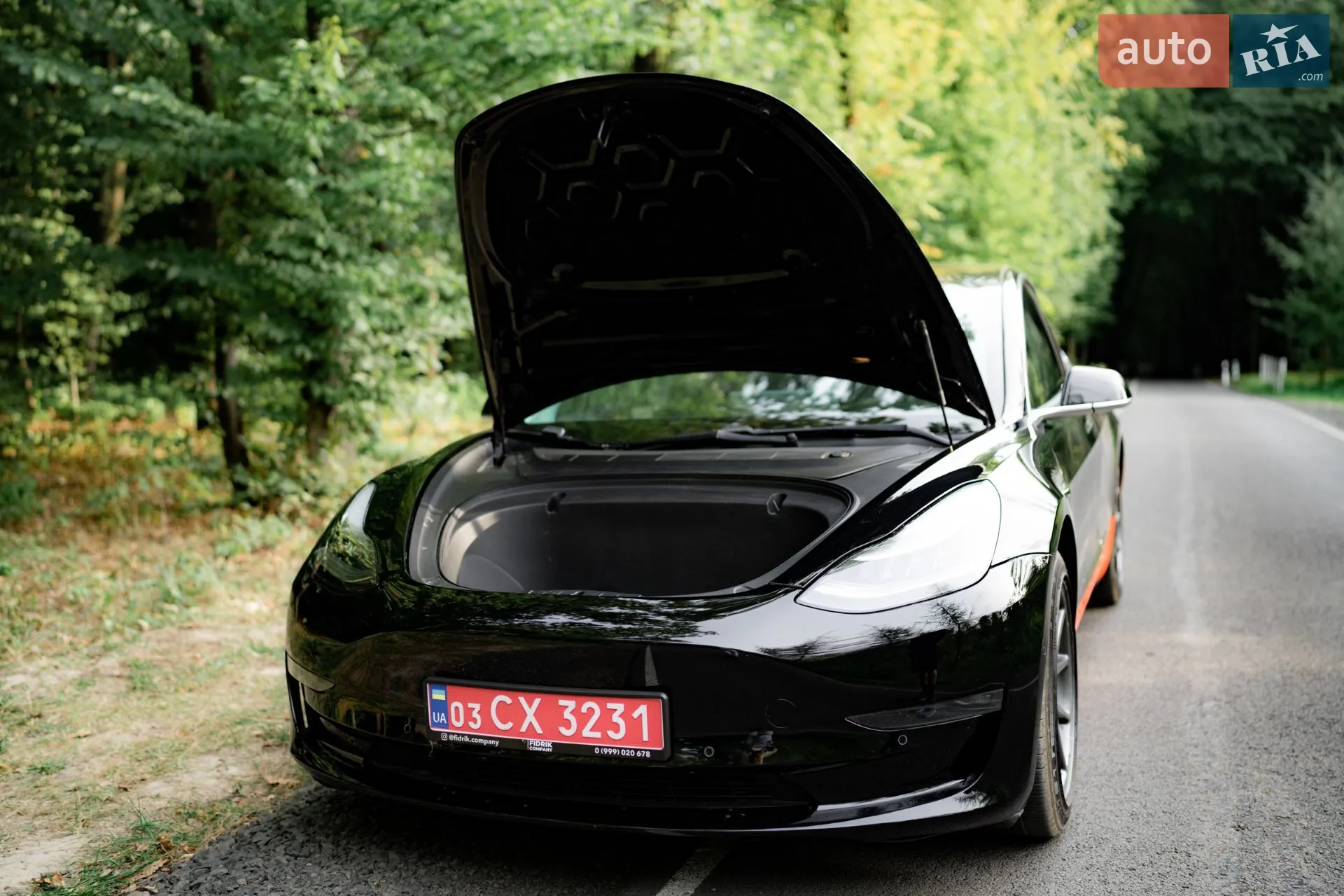 2018 Tesla Model 3 - мініатюра 9