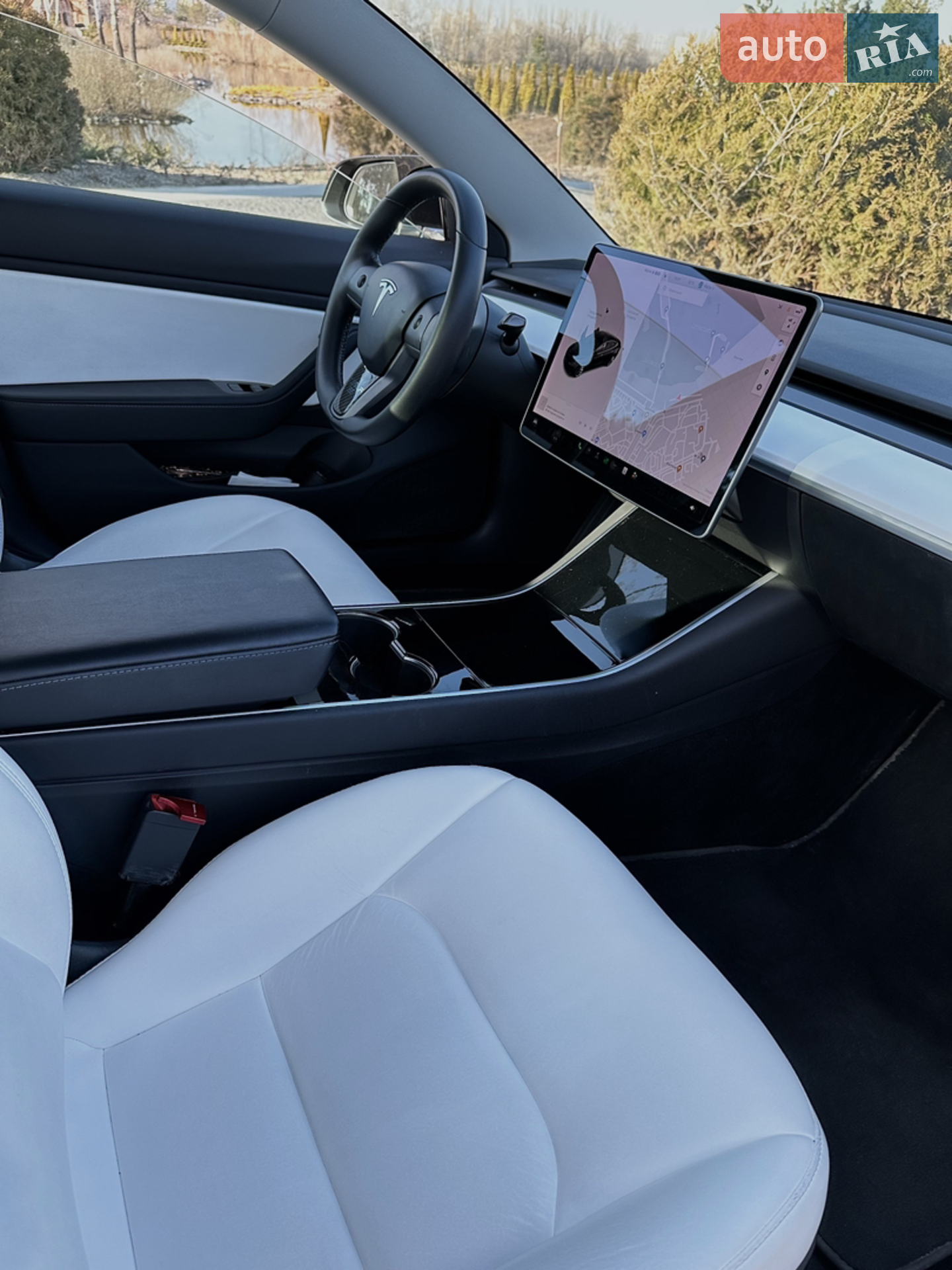 2019 Tesla Model 3 - мініатюра 8