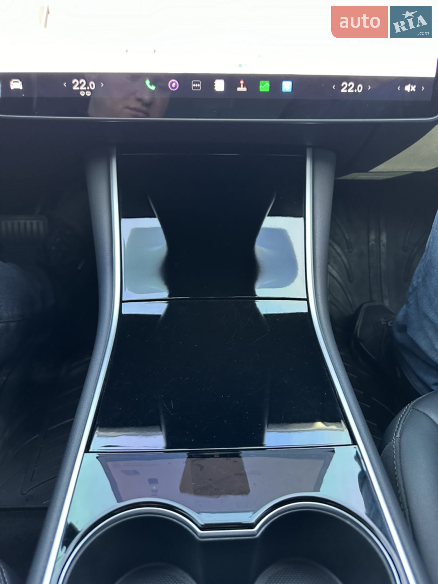 2019 Tesla Model 3 - мініатюра 21