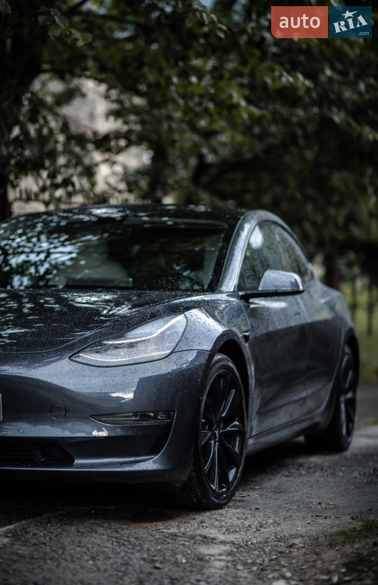 2020 Tesla Model 3 - мініатюра 26