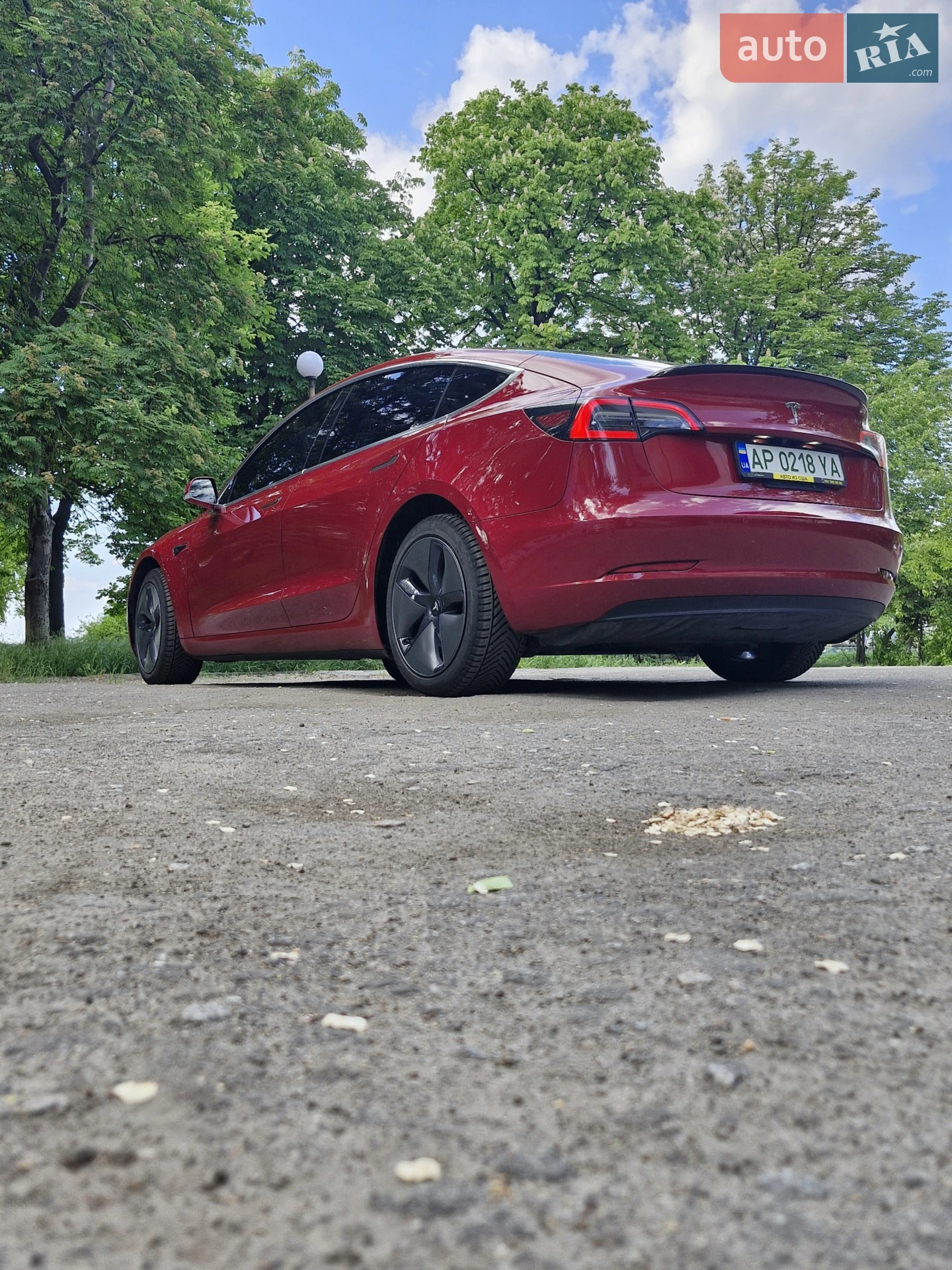 2019 Tesla Model 3 - мініатюра 16