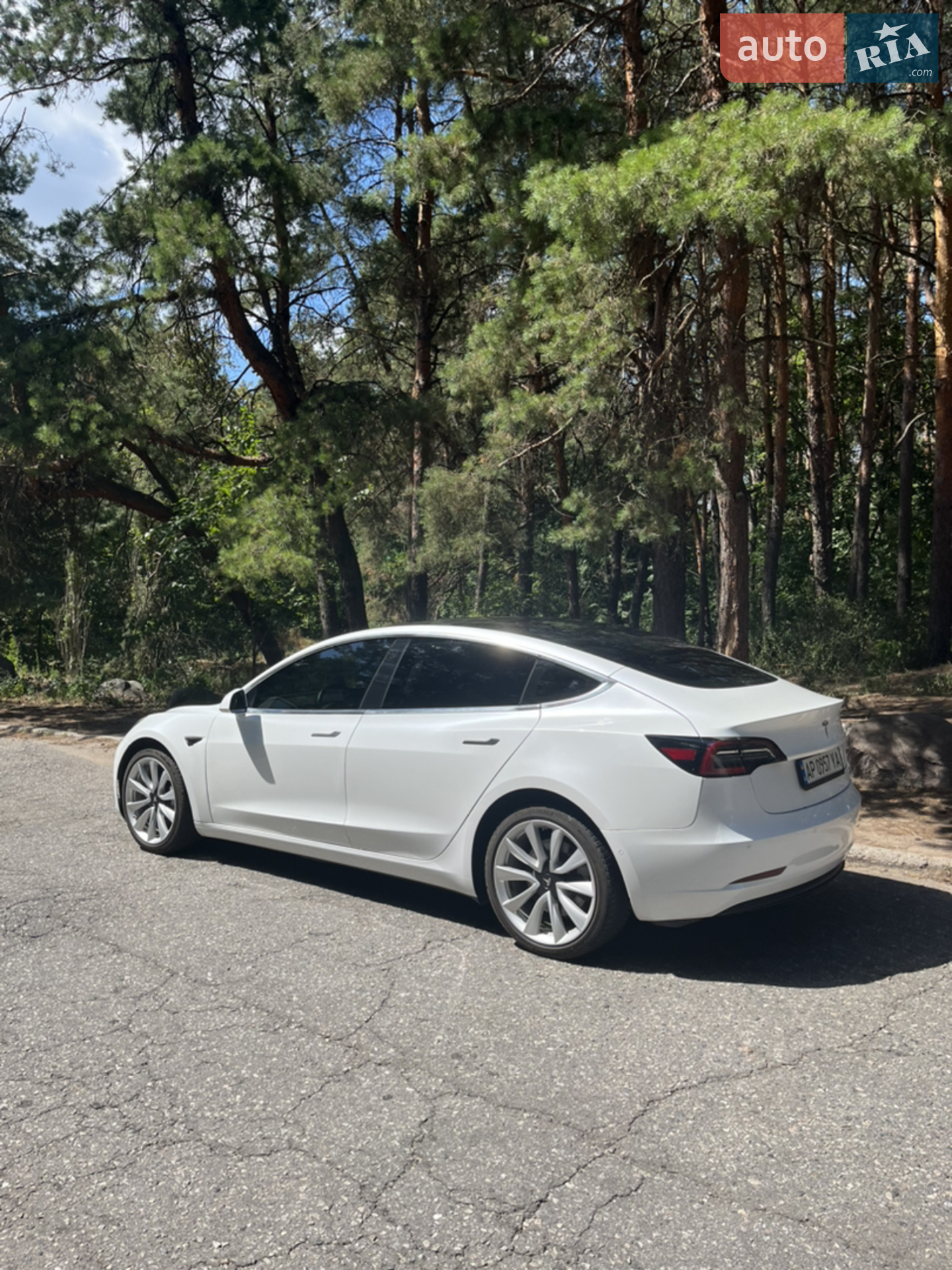 2019 Tesla Model 3 - мініатюра 3