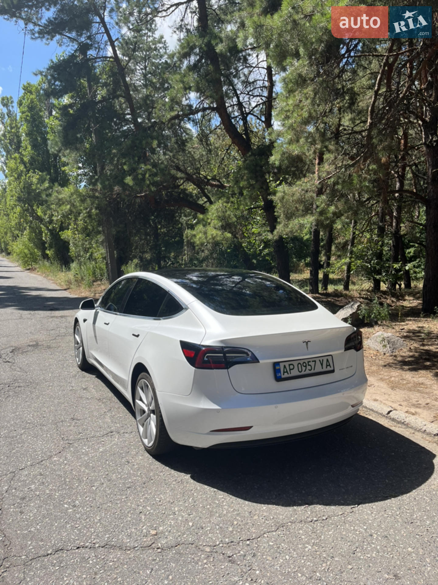 2019 Tesla Model 3 - мініатюра 4