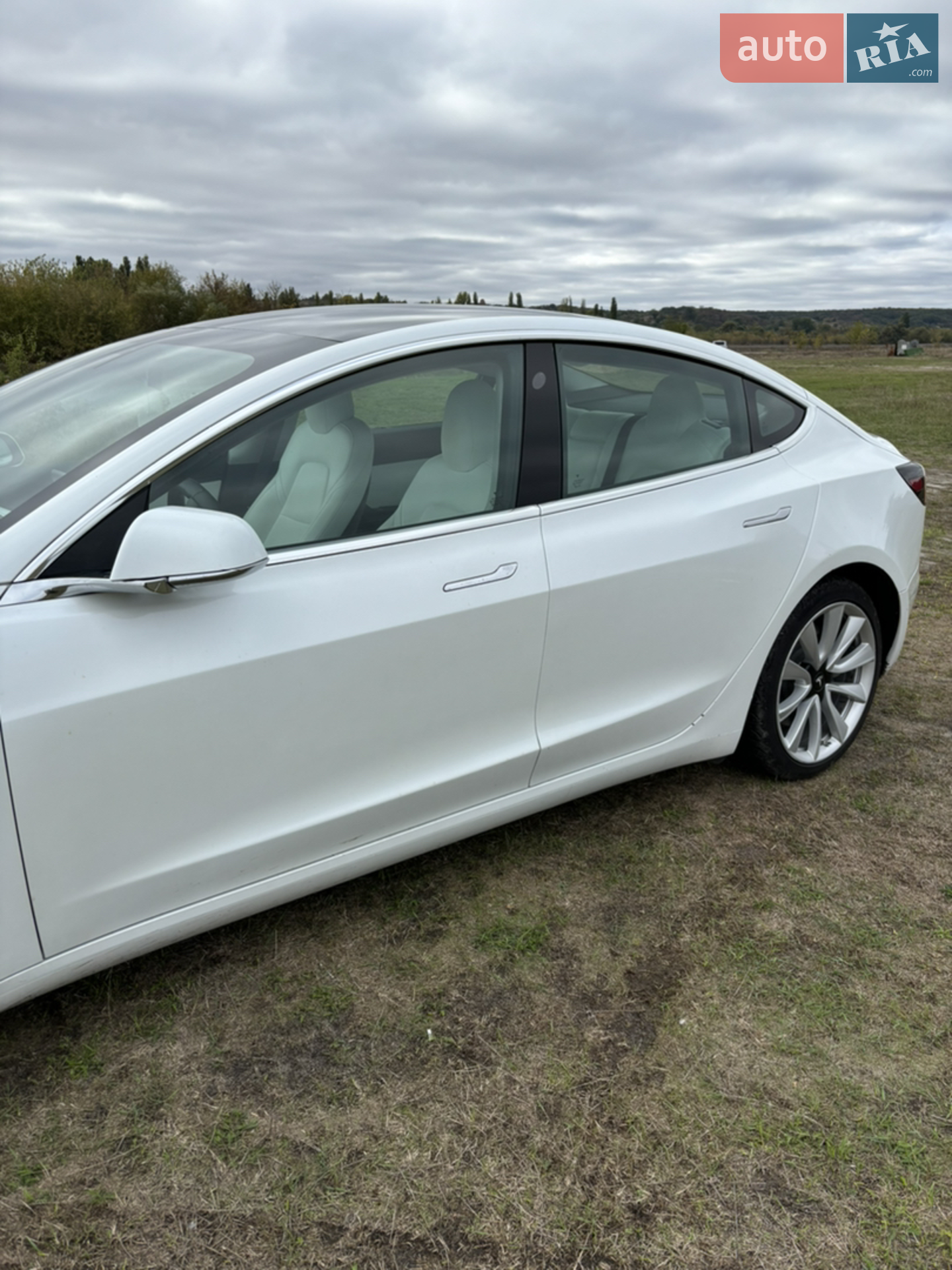 2019 Tesla Model 3 - мініатюра 13