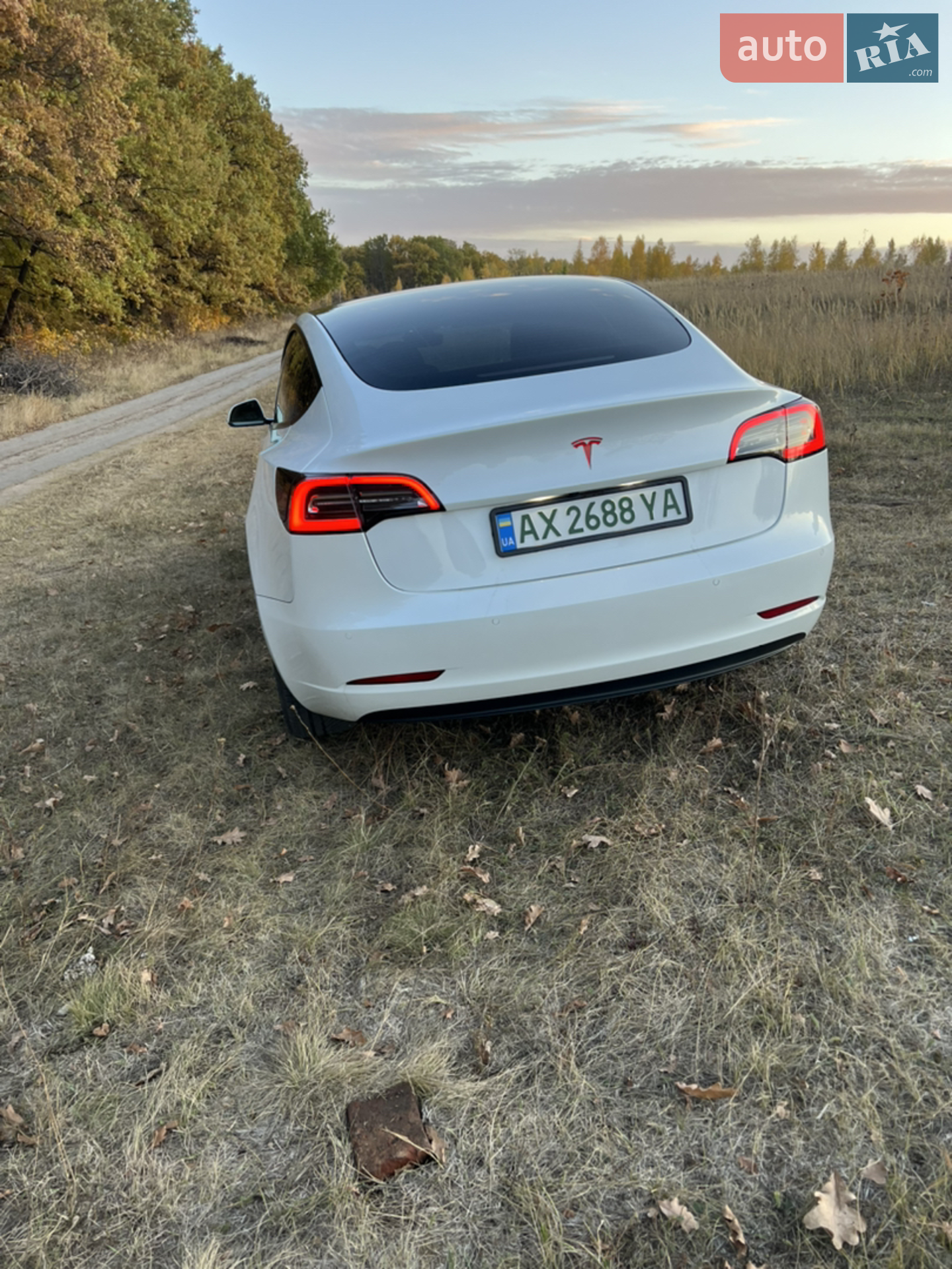 2020 Tesla Model 3 - мініатюра 8