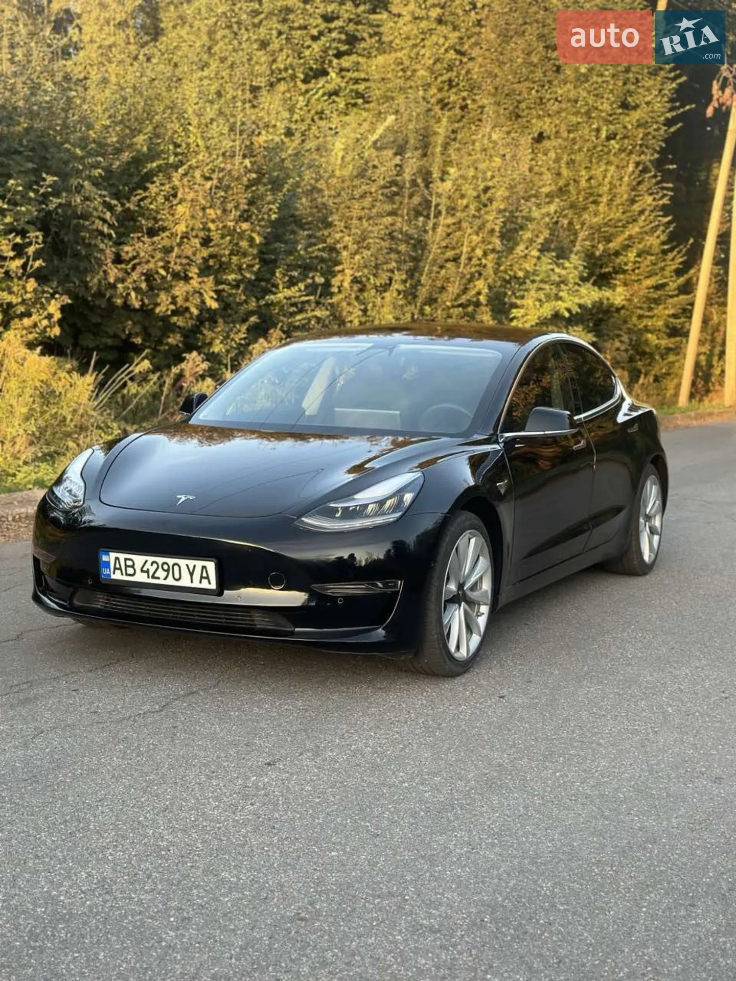 2020 Tesla Model 3 - мініатюра 12
