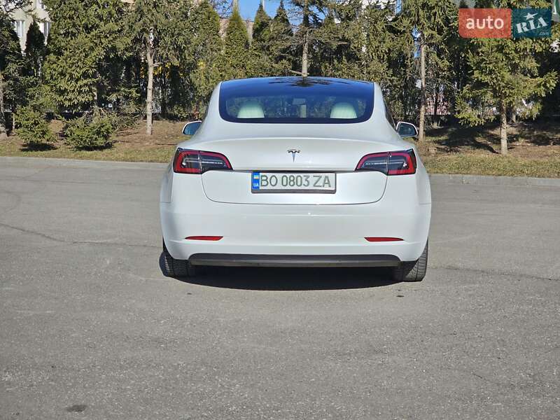 Седан Tesla Model 3 2019 в Тернополі