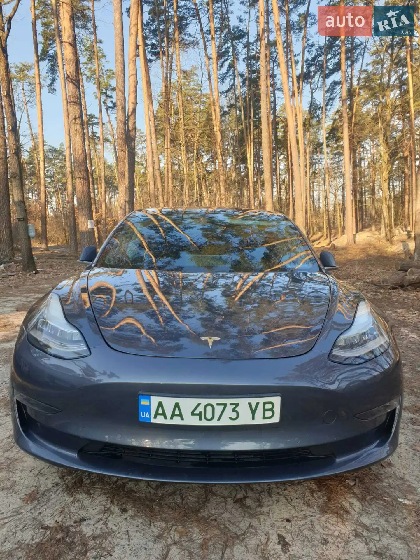 2019 Tesla Model 3 - мініатюра 7