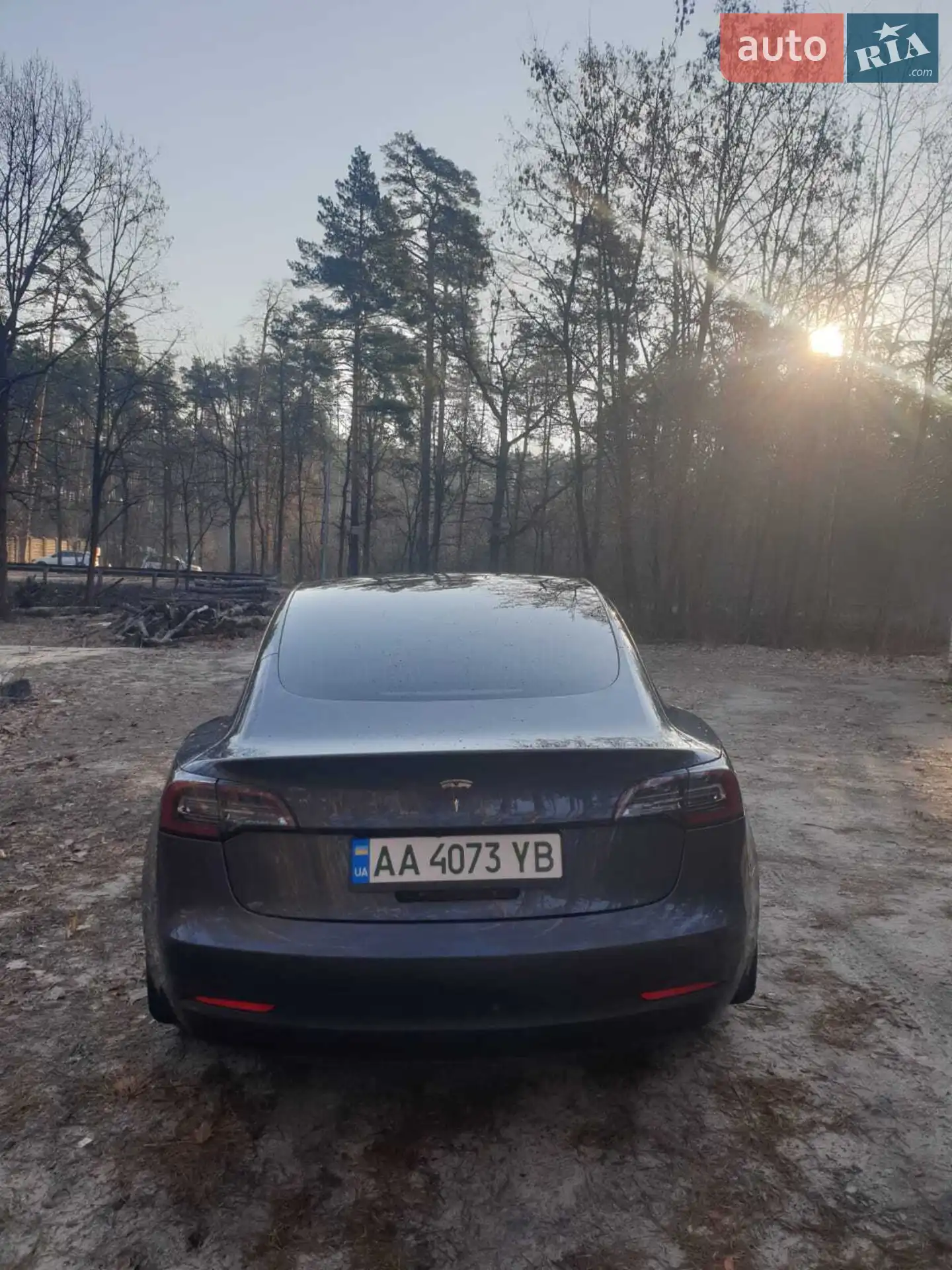 2019 Tesla Model 3 - мініатюра 8