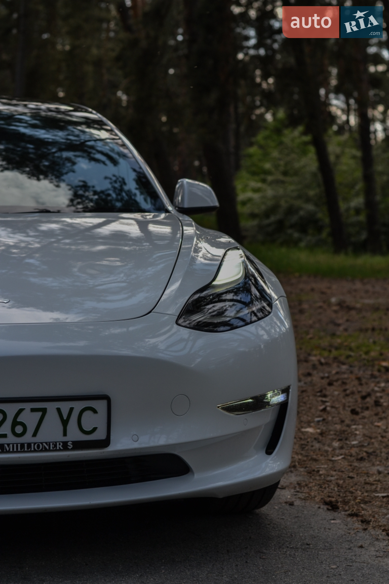 2021 Tesla Model 3 - мініатюра 4