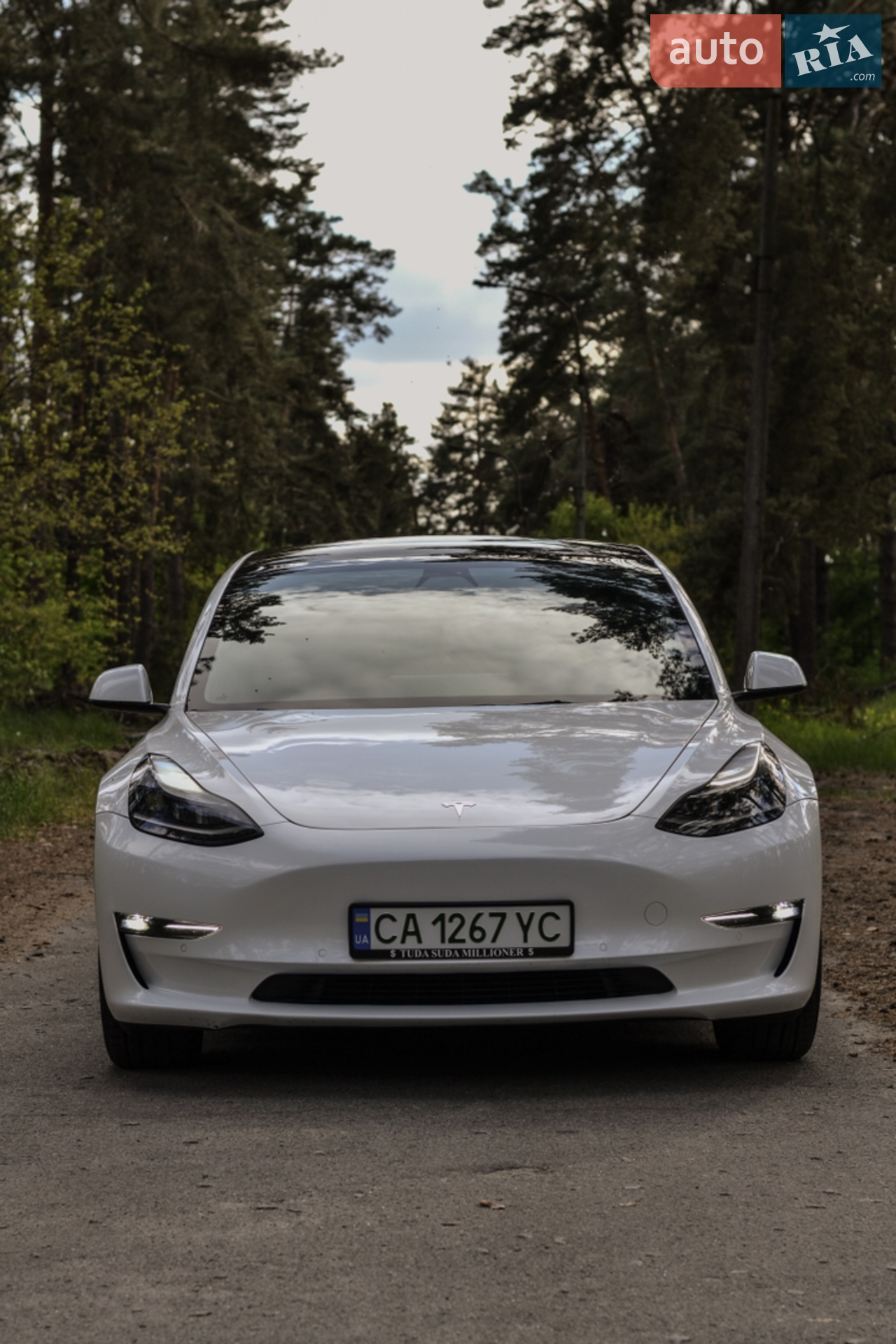 2021 Tesla Model 3 - мініатюра 3