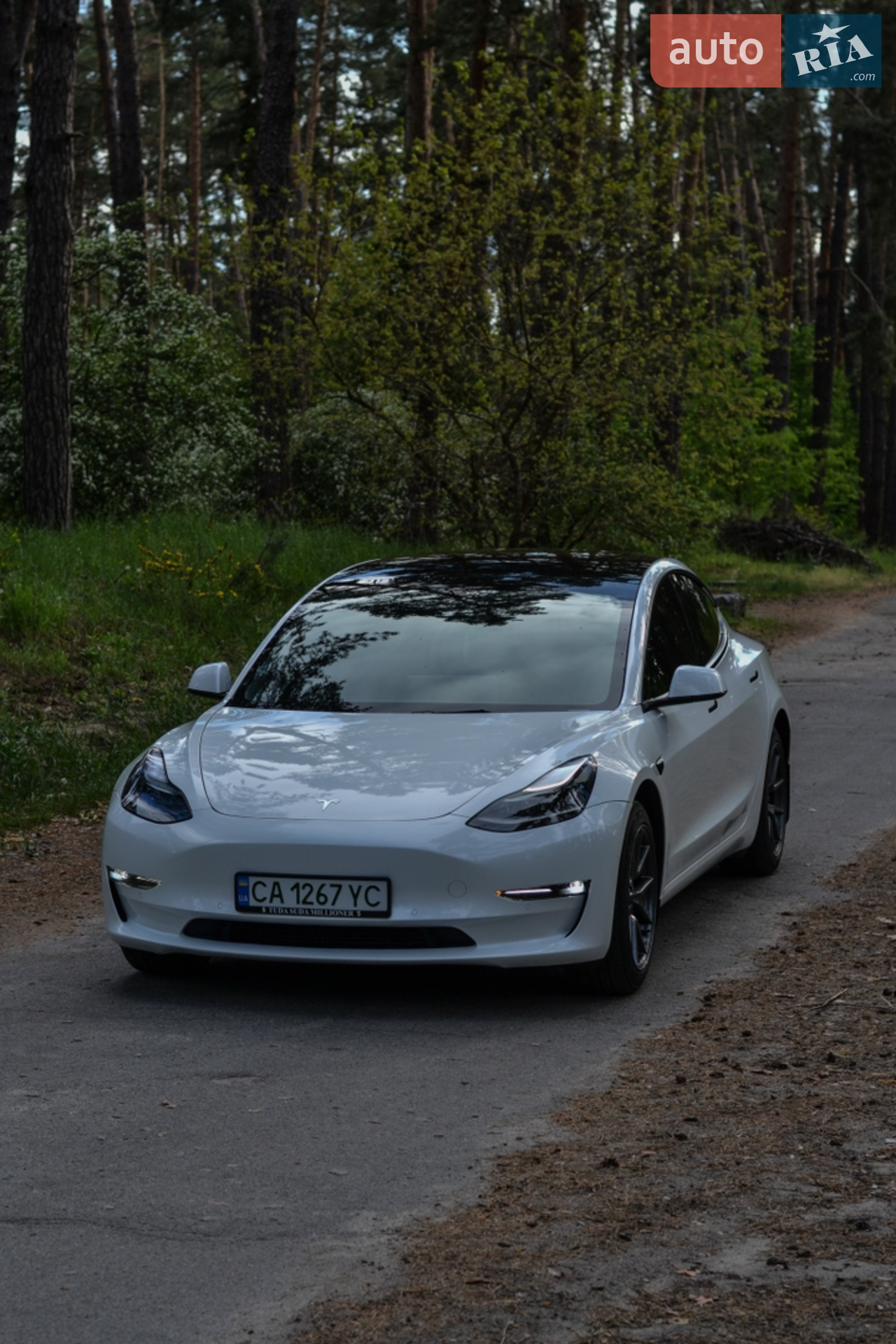 2021 Tesla Model 3 - мініатюра 6