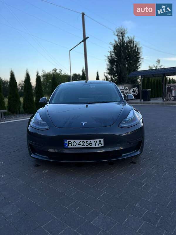 Седан Tesla Model 3 2022 в Почаєві