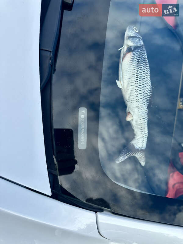 Седан Tesla Model 3 2019 в Сумах