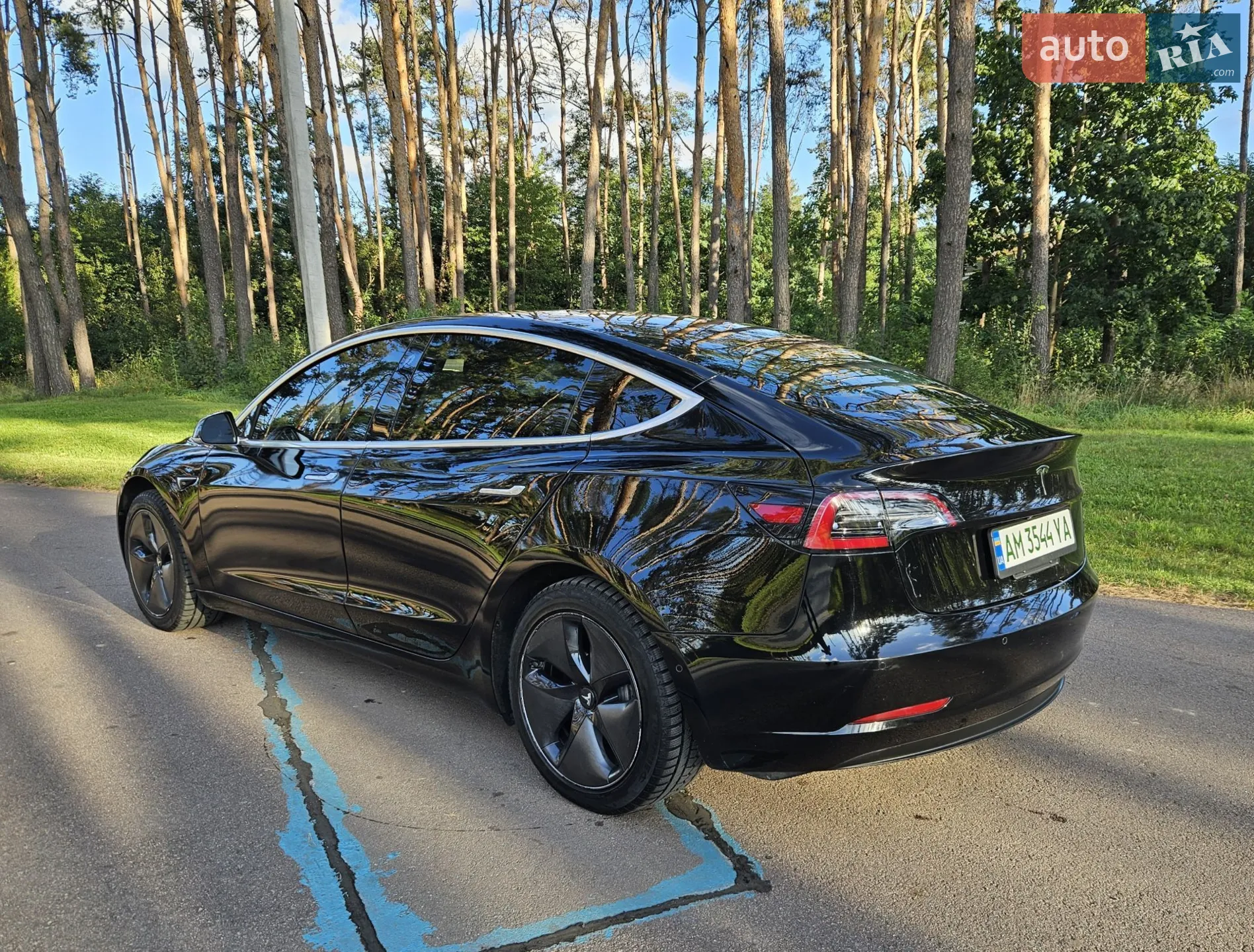 2019 Tesla Model 3 - мініатюра 5