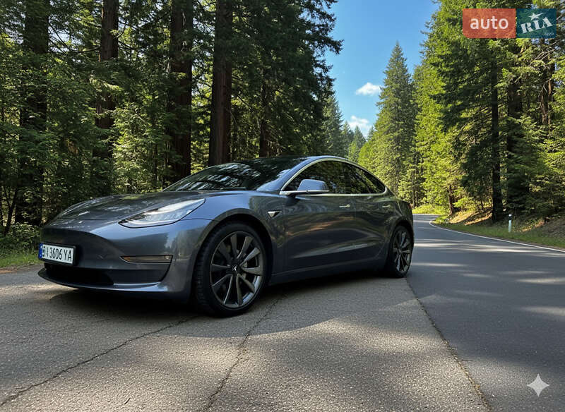 Tesla Model 3 2019