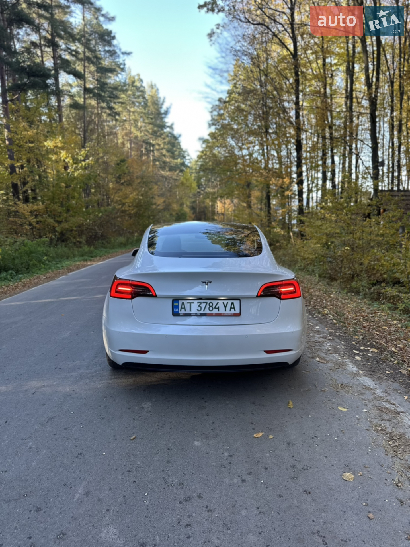 2021 Tesla Model 3 - мініатюра 23