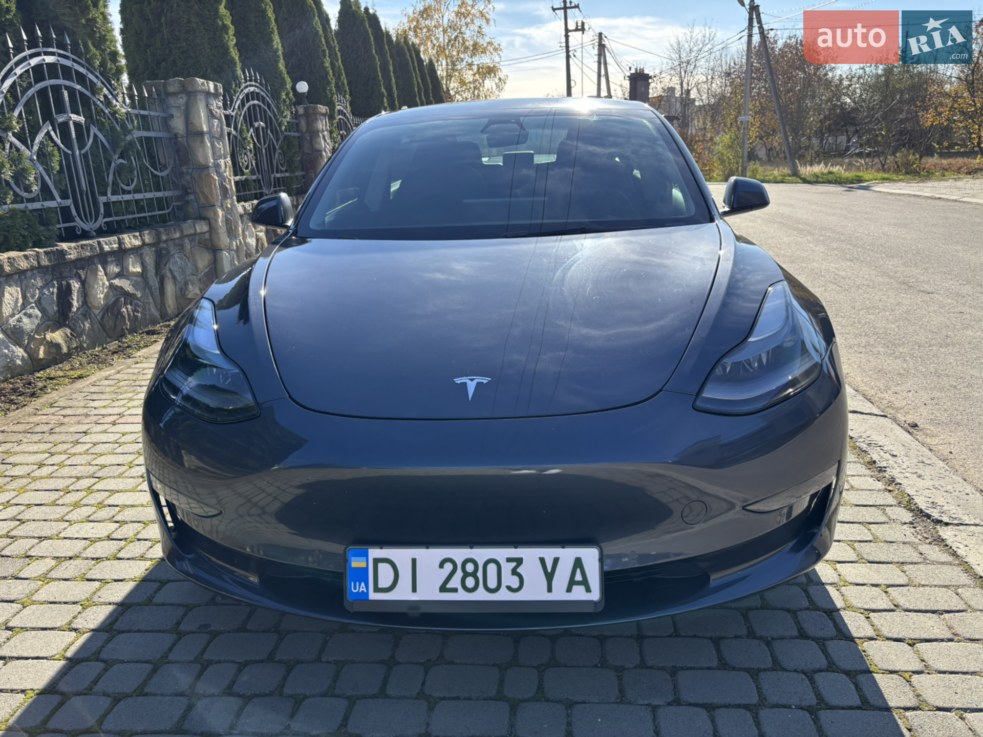 2021 Tesla Model 3 - мініатюра 4
