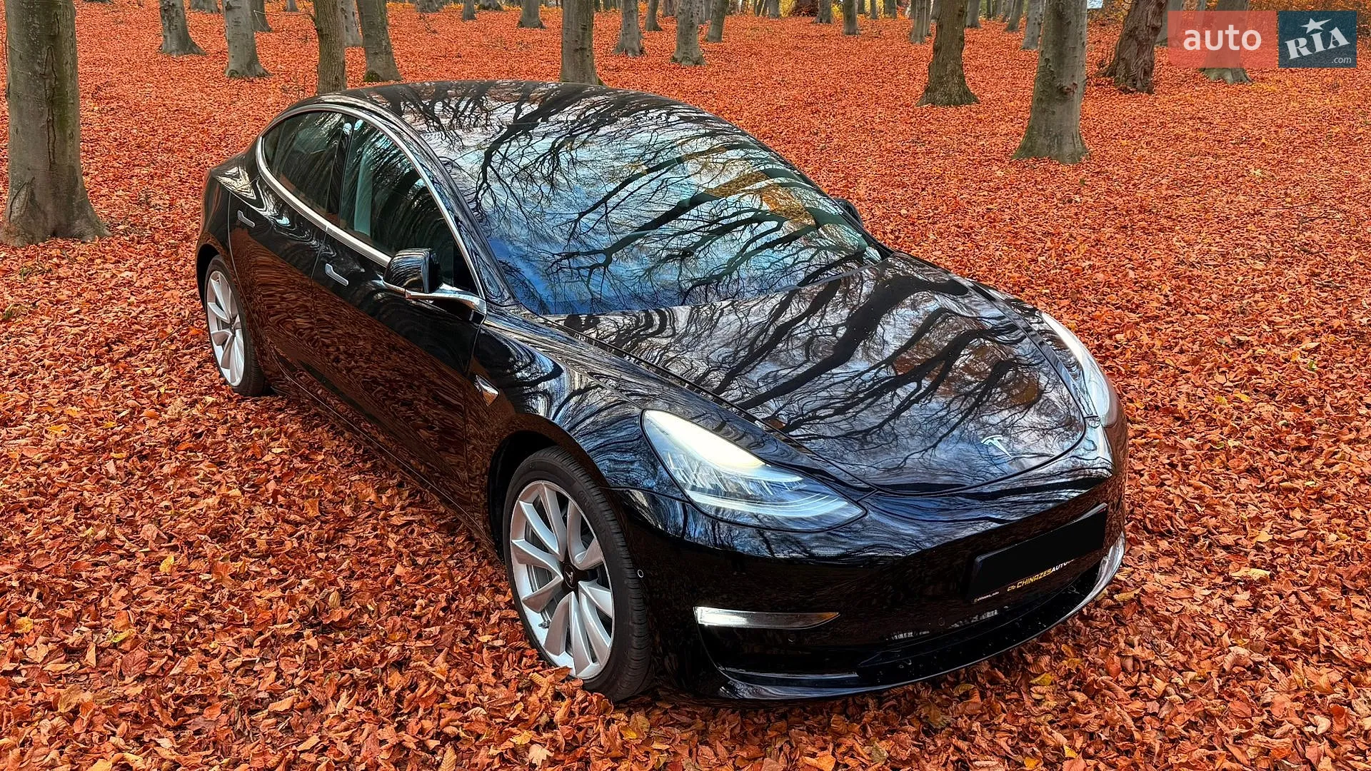 2019 Tesla Model 3 - мініатюра 7