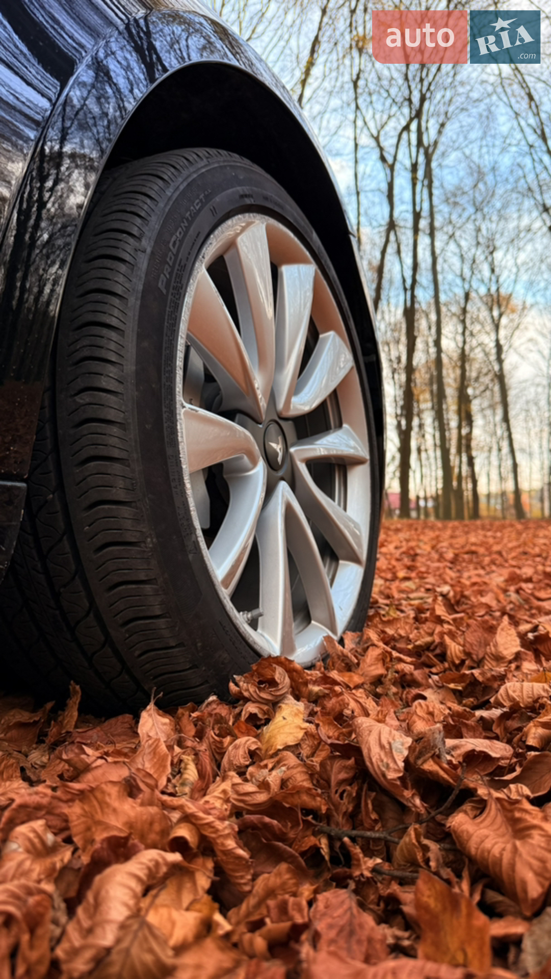 2019 Tesla Model 3 - мініатюра 8