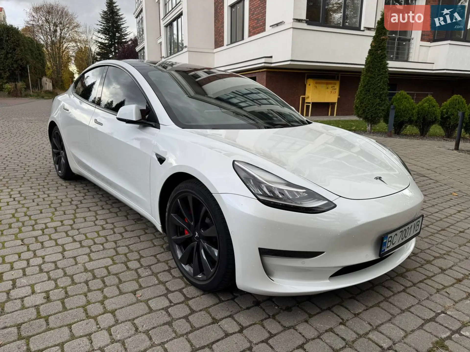 2019 Tesla Model 3 - мініатюра 18
