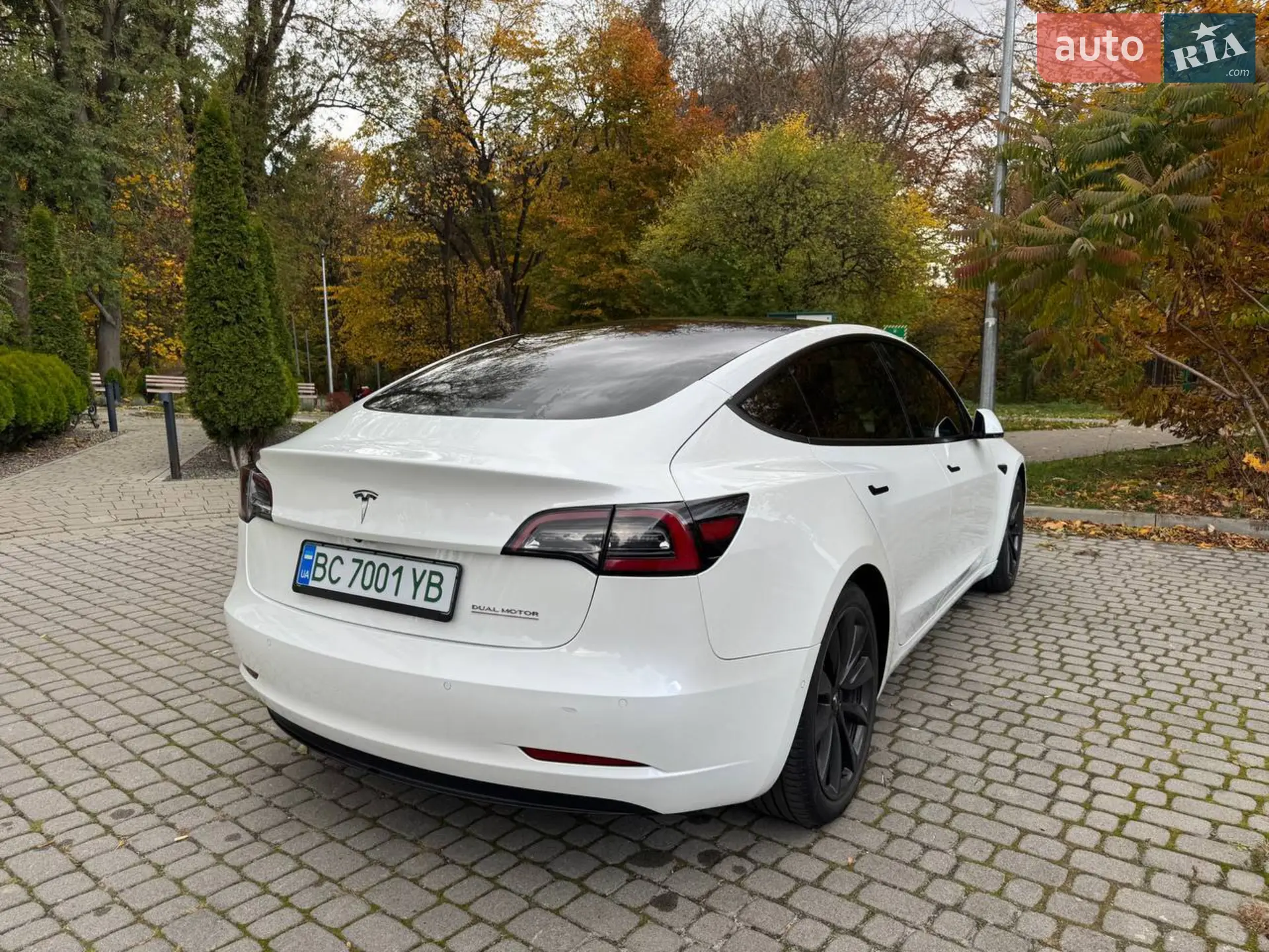 2019 Tesla Model 3 - мініатюра 22