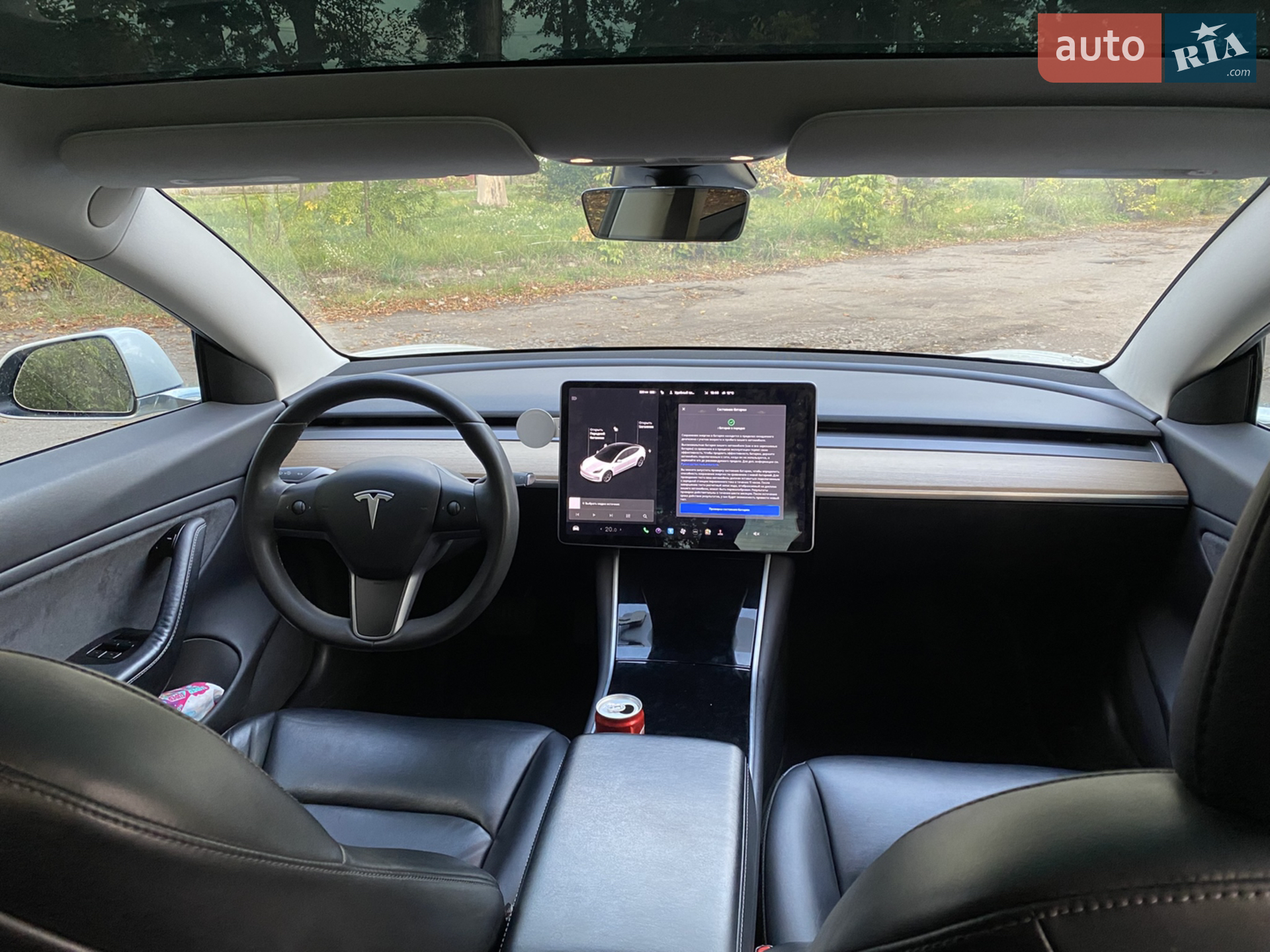 2019 Tesla Model 3 - мініатюра 10