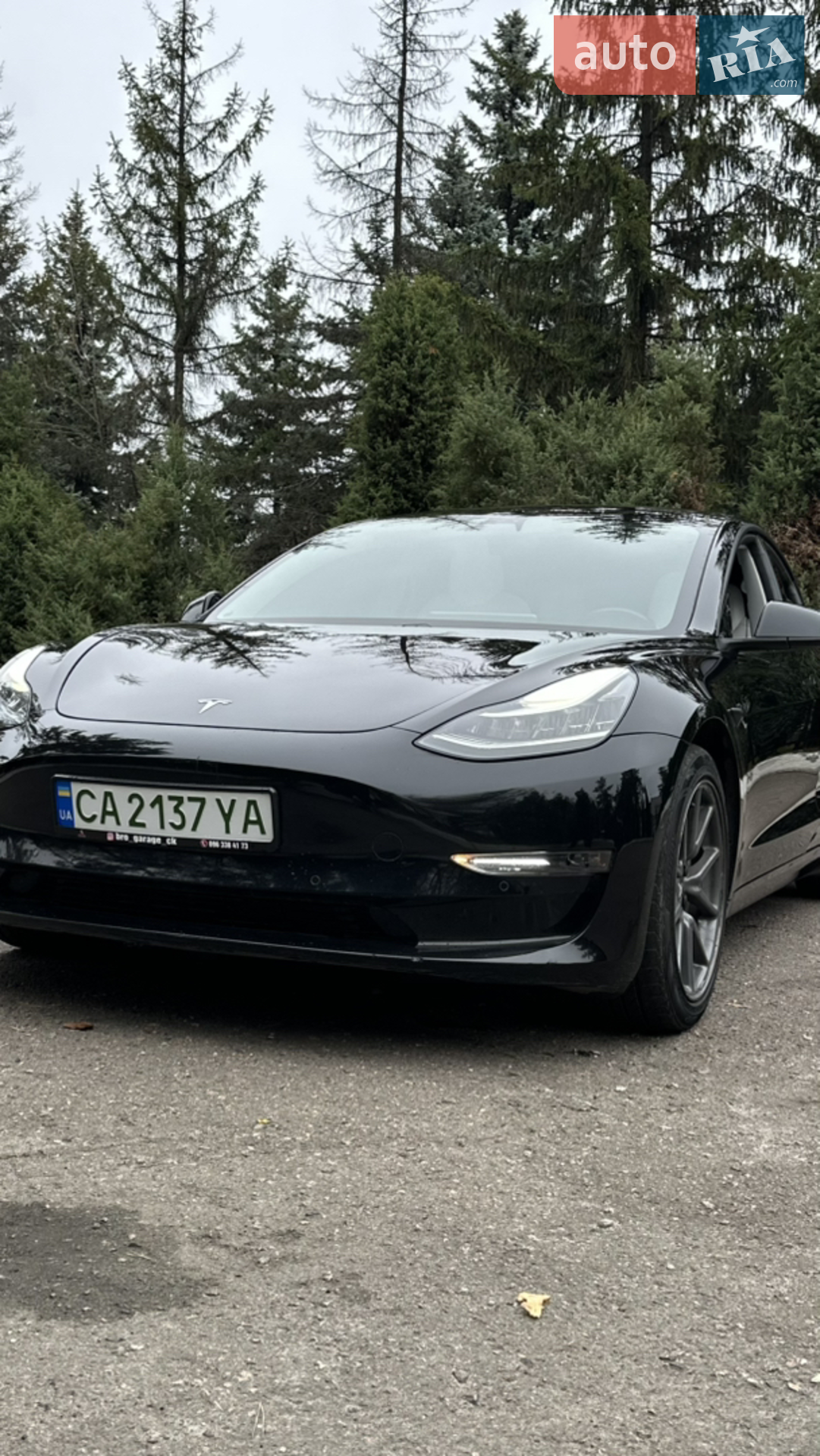 2018 Tesla Model 3 - мініатюра 50
