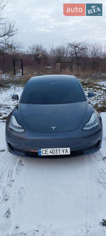 2020 Tesla Model-3, VIN 5YJ3E1EEB4LF66649:plate — фото 1 (autoria)