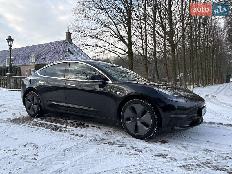2019 Tesla Model-3, VIN 5YJ3E7EB8KF541917:plate — фото 1 (autoria)