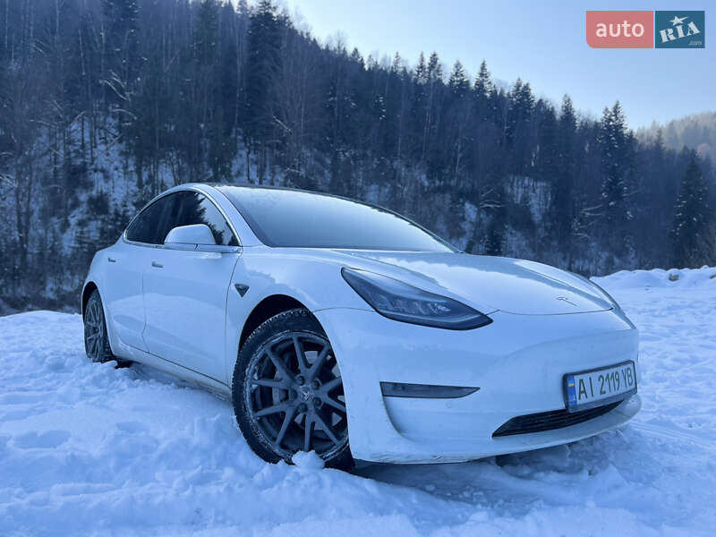 2019 Tesla Model 3, VIN 5YJ3E1EB4LF650258:plate — фото 1 (autoria)