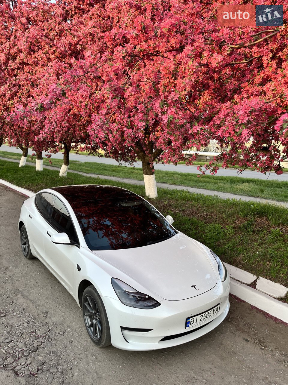 2022 Tesla Model 3 - мініатюра 14