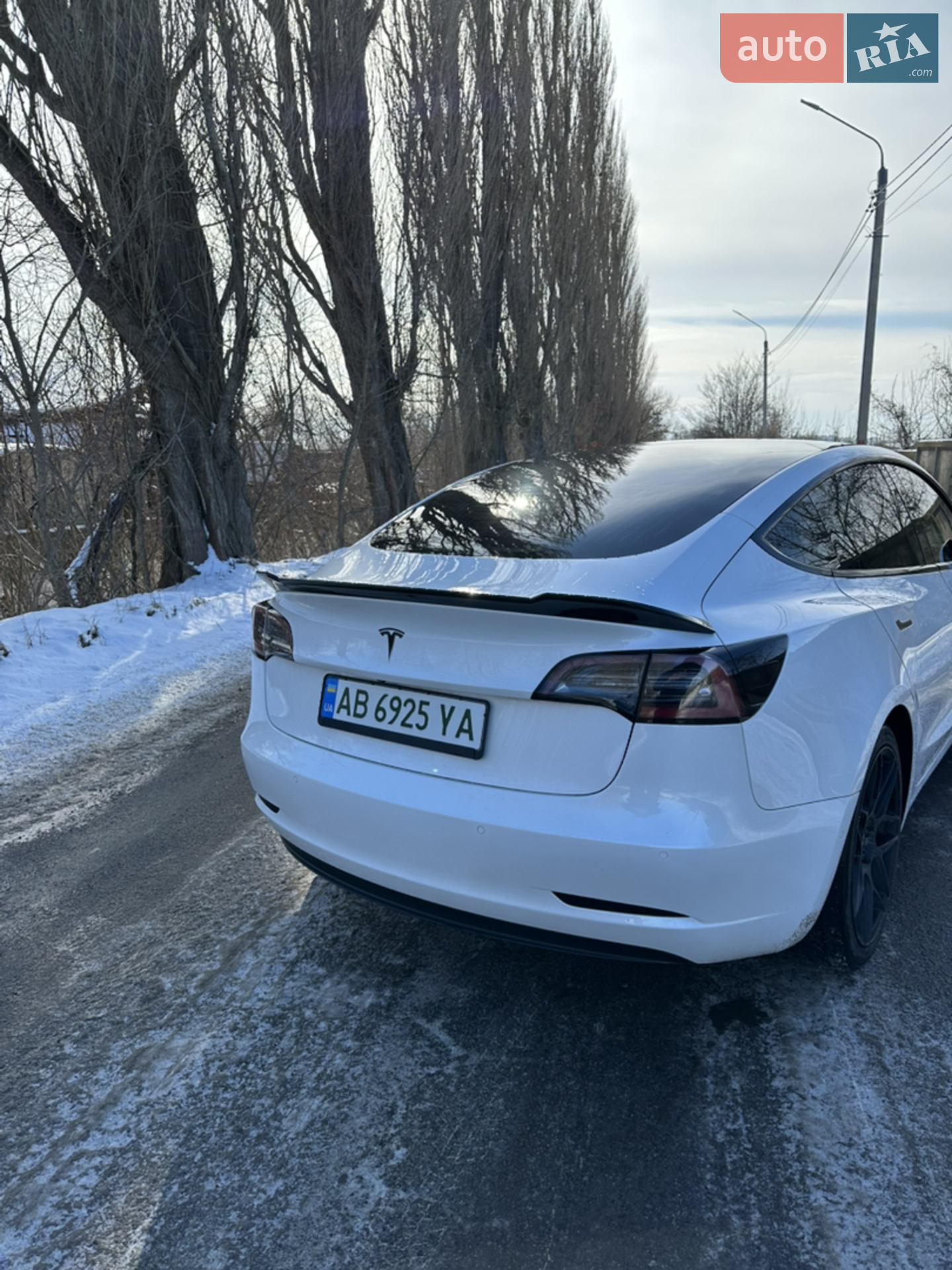 2019 Tesla Model 3 - мініатюра 2