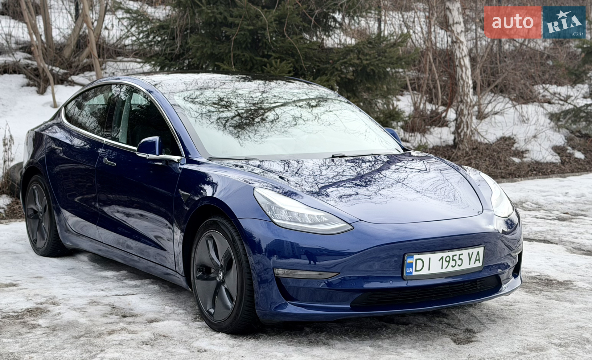 2019 Tesla Model 3 - фото 1